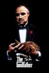 The Godfather (1972) Dual Audio Hindi-English Google Drive