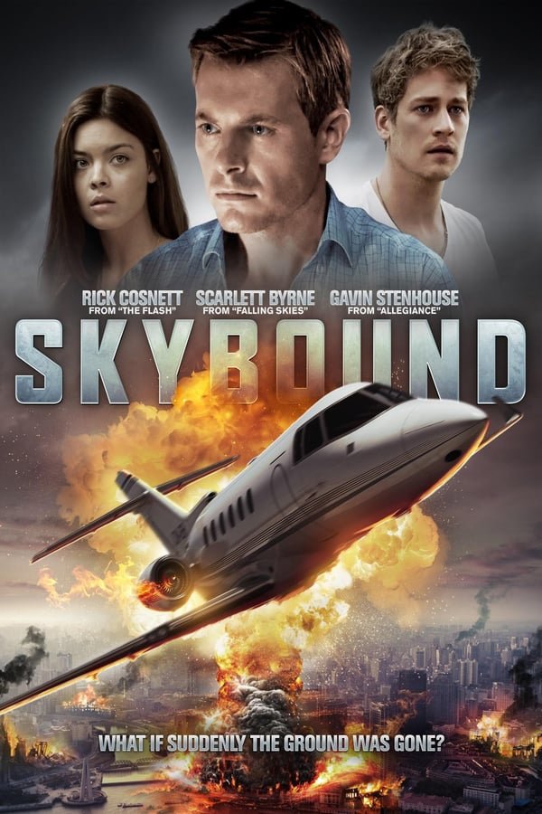 Skybound 2017 Dual Audio Hindi-English 480p 720p Bluray