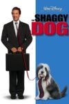 The Shaggy Dog