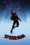 Spider-Man Into the Spider-Verse 2018 Dual Audio