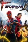 Spider-Man No Way Home 2021 Dual Audio