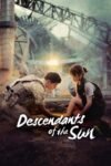 Descendants of the Sun Season 1 Dual Audio