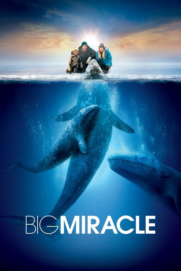 Big Miracle 2012 Dual Audio