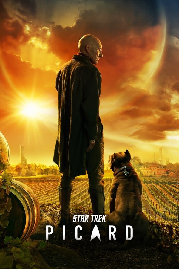 Star Trek Picard Season 1-3 Dual Audio