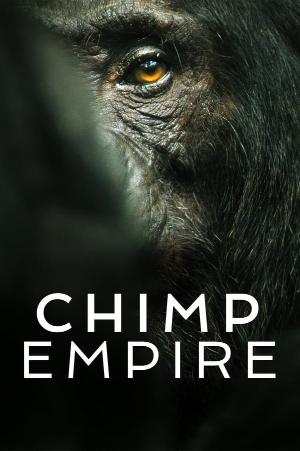 Chimp Empire Season 1 Dual Audio