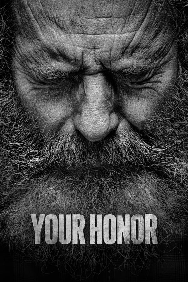 Your Honor Season 1-2 Dual Audio Hindi-English