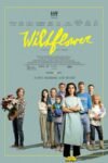 Wildflower 2022 English