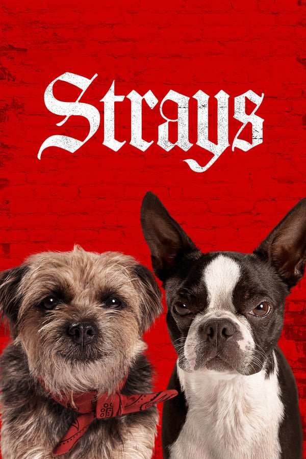 Strays 2023 English With Subtitle