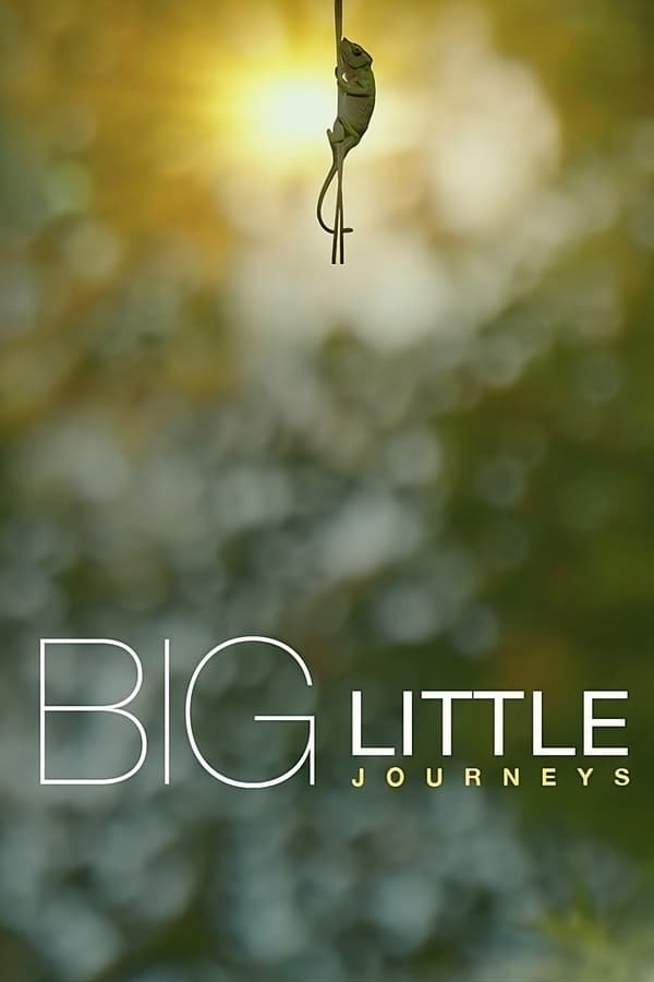 Big Little Journeys Season 1 English