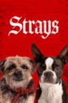 Strays 2023 Dual Audio Hindi-English