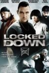 Locked Down 2010 Dual Audio