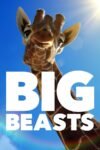 Big Beasts Season 1 English