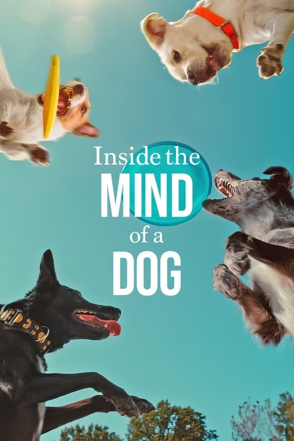 Inside the Mind of a Dog 2024 Dual Audio Hindi-English