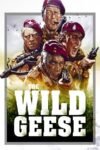 The Wild Geese 1978 Dual Audio Hindi-English